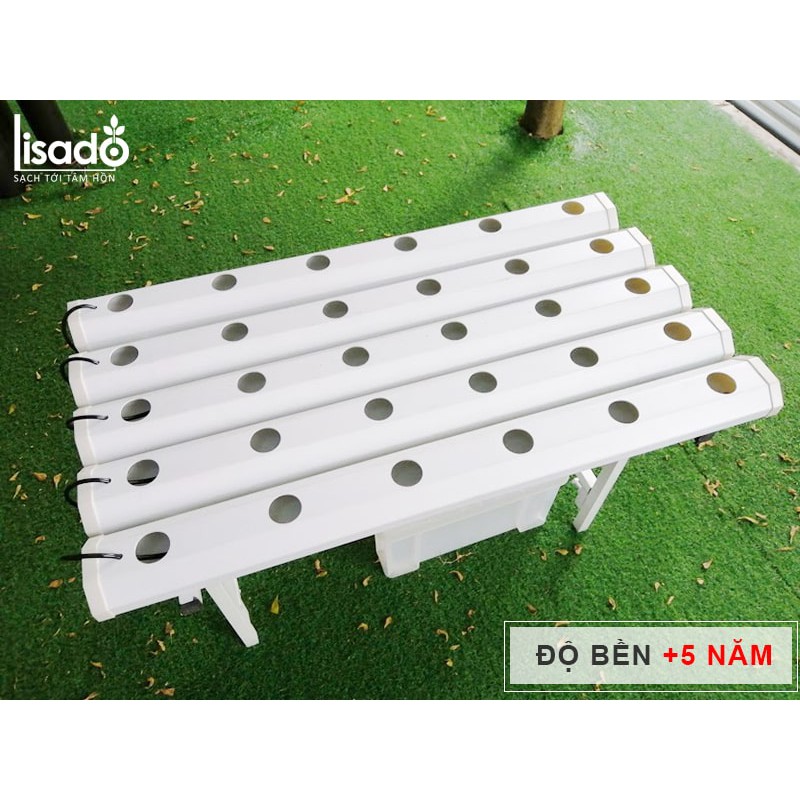 Giàn trồng rau thủy canh GLS 05