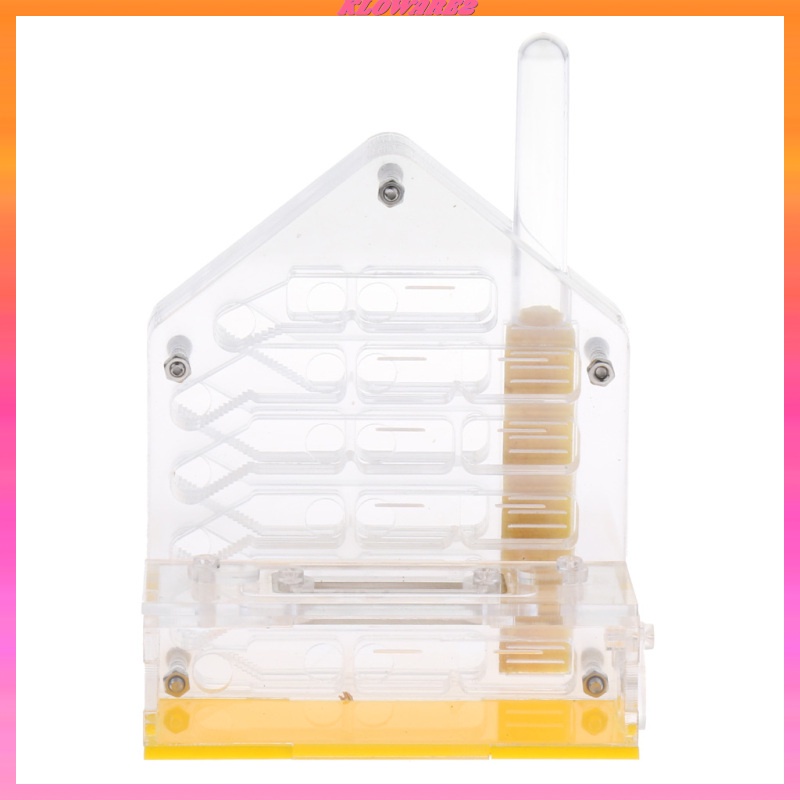 Hộp Nuôi Kiến Bằng Acrylic Trong Suốt Cho Nông Trại