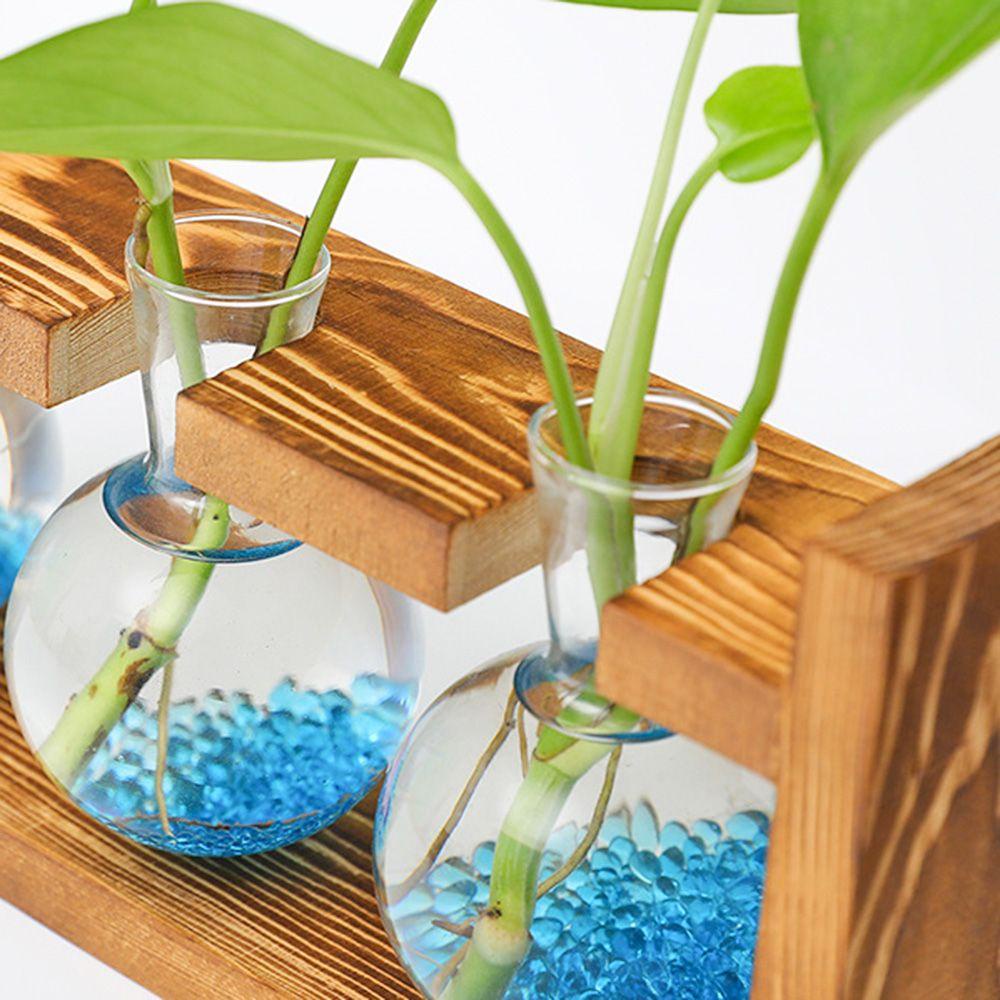 Chậu Trồng Cây Thủy Canh Trong Suốt Dùng Trang Trí Nhà Cửa / Văn Phòng