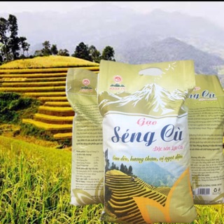 Gạo Tẻ Séng Cù túi 10kg