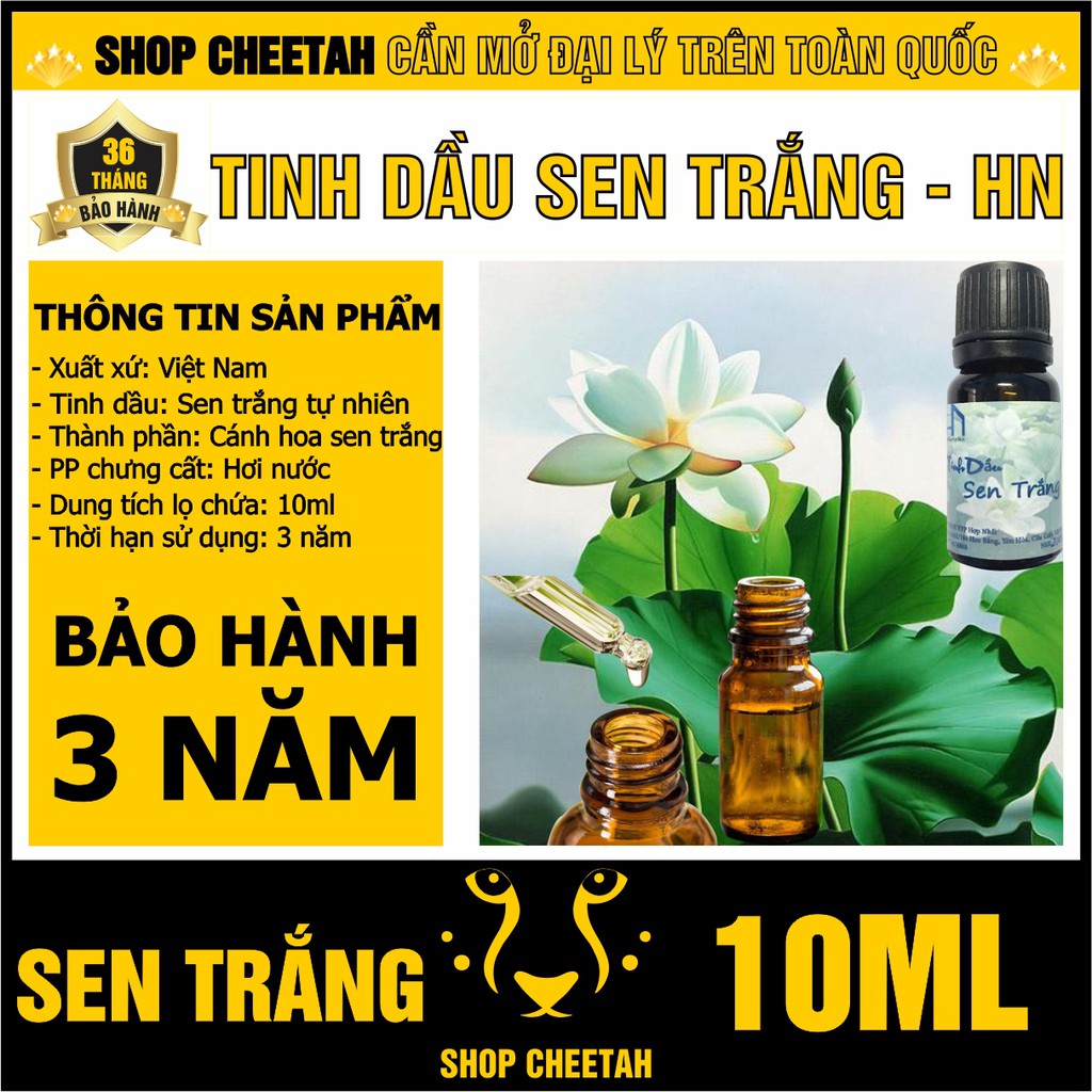 Tinh dầu Hoa Sen Trắng 10ml – Điều hòa khí huyết – Xông phòng – Tinh dầu nguyên chất từ thiên nhiên