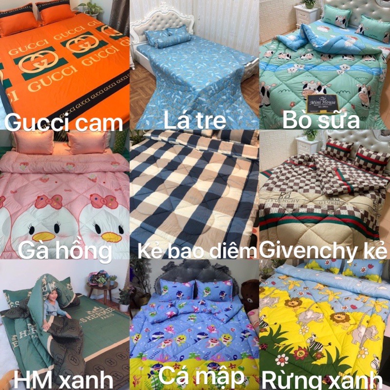 Bộ ga gối 4 món poly cotton m6/m8/2m2 ( chat chọn mẫu)