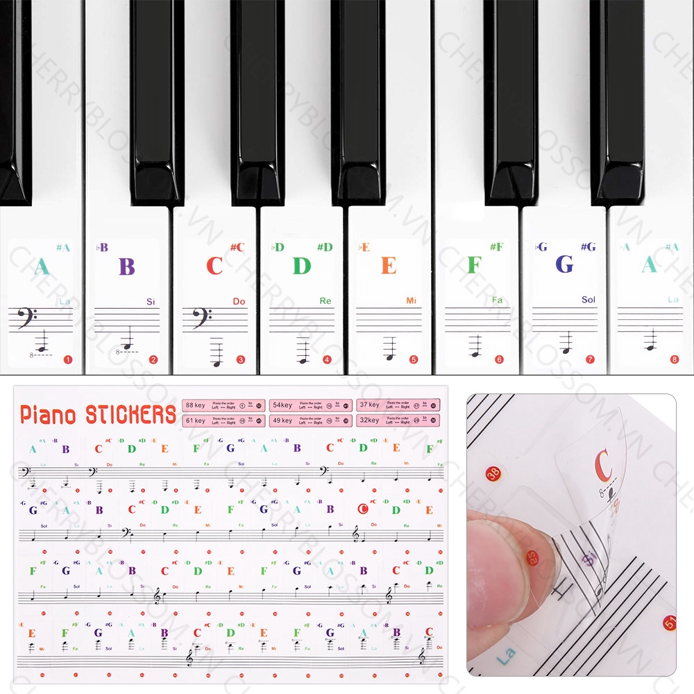 Miếng Dán Phím Đàn Piano Trong Suốt Loại 88 / 61 / 54 / 49 / 37 / 32 Phím Tiện Dụng