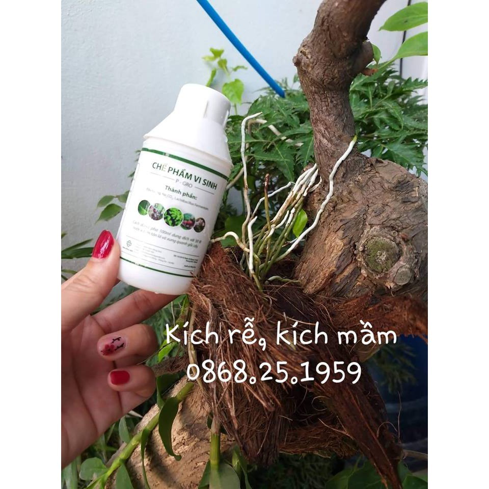 [SIEURE] Chế phẩm sinh học công nghệ Nhật Bản P-Gro hàng đẹp, phân phối chuyên nghiệp.