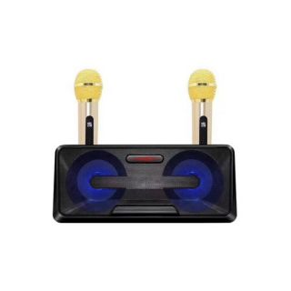 Loa nghe nhạc hát karaoke blutooth SD 301.