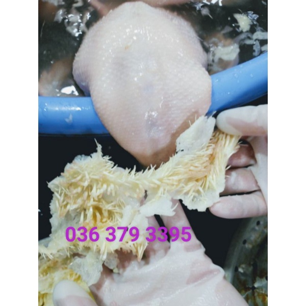 SÁP LÀM LÔNG VỊT CHÍNH HÃNG - 5kg Sáp