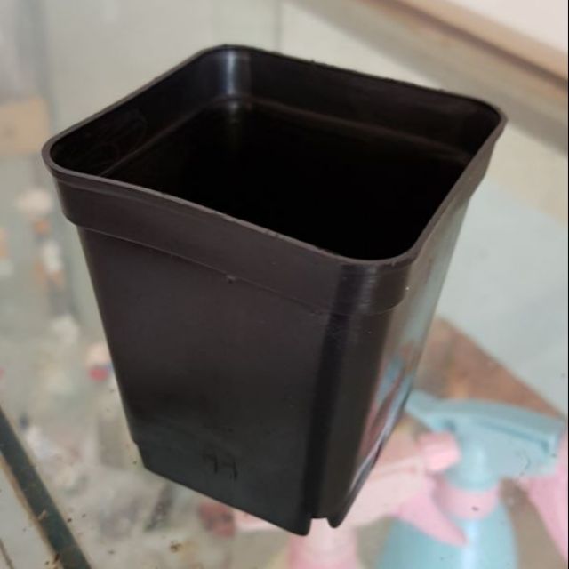 Chậu nhựa đen 5x5