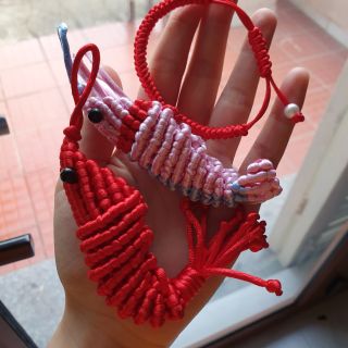 Tôm Quang điểm Tiêu Chiến