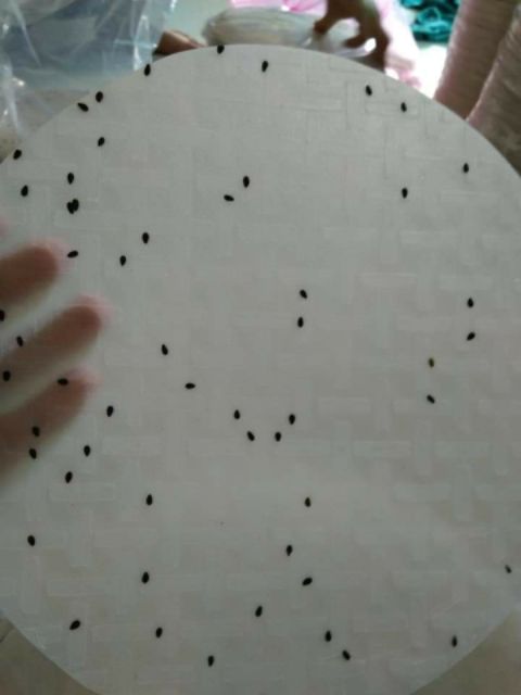 1kg BÁNH TRÁNG NƯỚNG MÈ  ship toàn quốc.