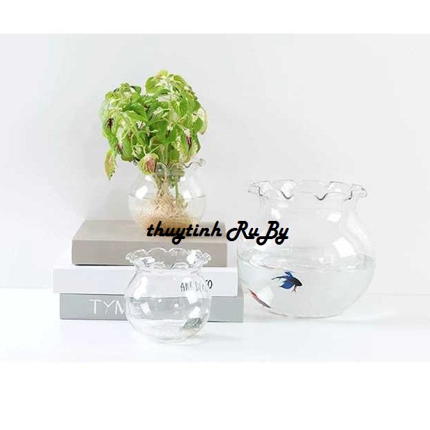 Bể Cá Thủy Tinh Để Bàn, Hồ Cá Mini, Chậu Cây Thủy Sinh B11 (D17CM X H16CM)