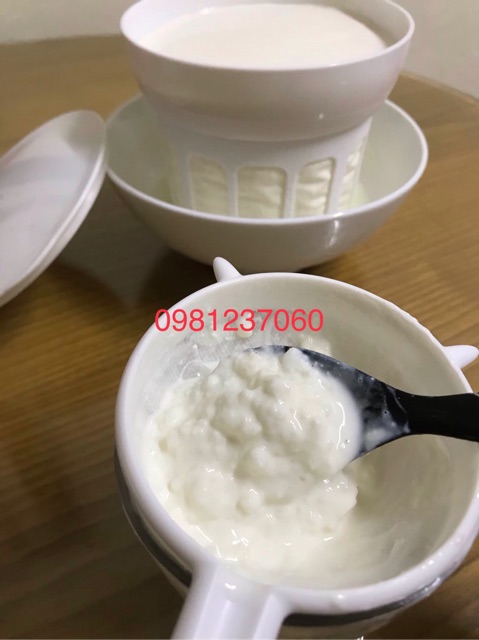 Nấm Tây tạng - nấm sữa kefir