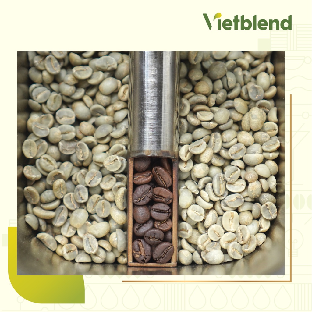 Cà phê hạt nguyên chất Arabica Việt | Cà phê rang xay thượng hạng | BigBuy360 - bigbuy360.vn