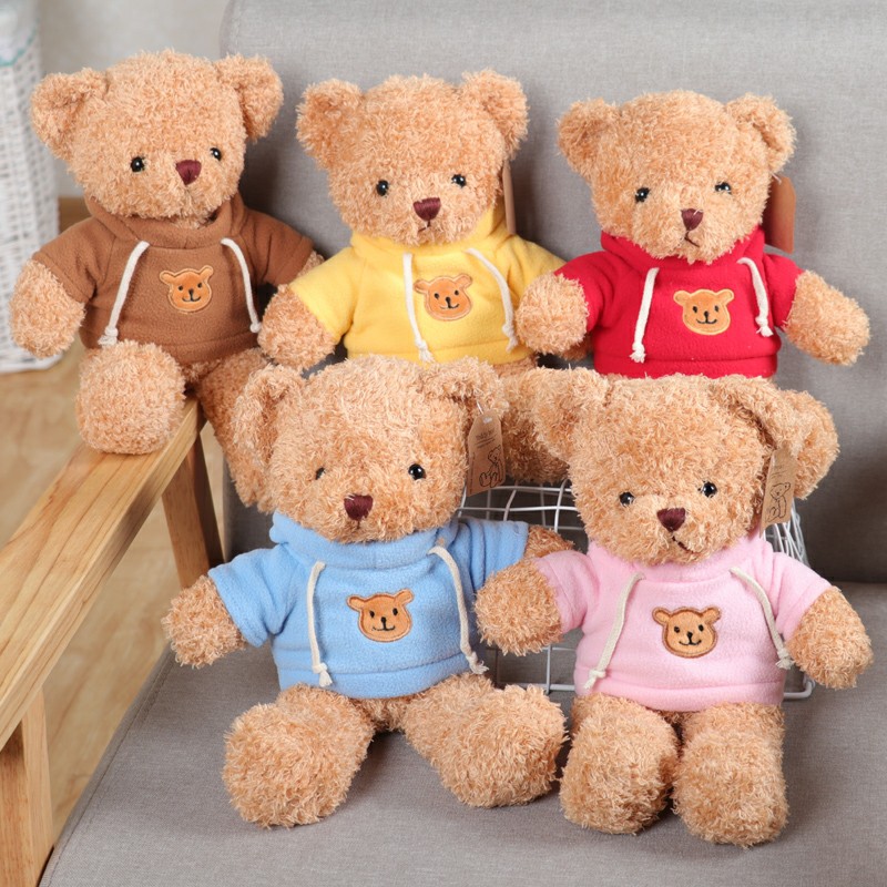 Gấu Teddy Mặc Áo Hoodie Dễ Thương Cao Cấp Gấu Bông City