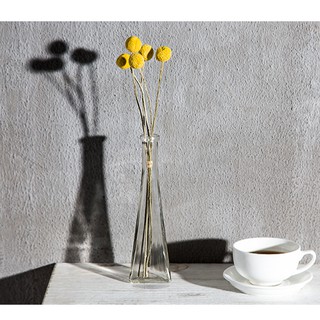 Bình hoa thủy tinh cắm hoa 1 bông tối giản PT085