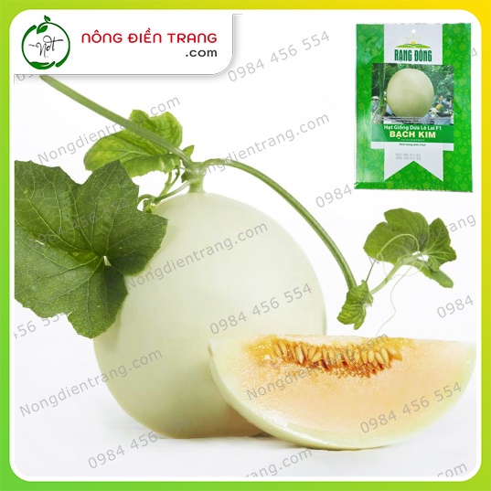 Hạt Giống Dưa Lê Lai F1 Bạch Kim Rado - Gói 5 Hạt - Dưa Lê Trắng Ruột Cam Ngon Ngọt (Dưa Lê Tuyết) V