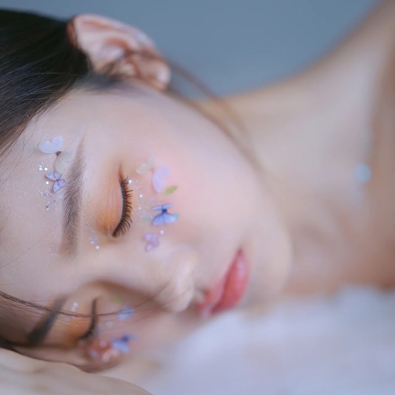 Sét 5 Hồ Điệp VOAN MỎNG make up hot hit, chụp ảnh nghệ thuật mã TU-88