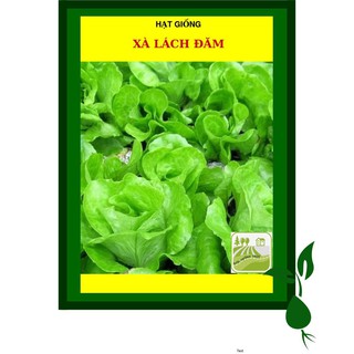 Hạt Giống Xà Lách Đăm, Đỏ Xoăn, Xà Lách Mixed, Romain Tím 2 Gram