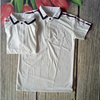 ÁO CẶP CỔ TRỤ THANH LỊCH