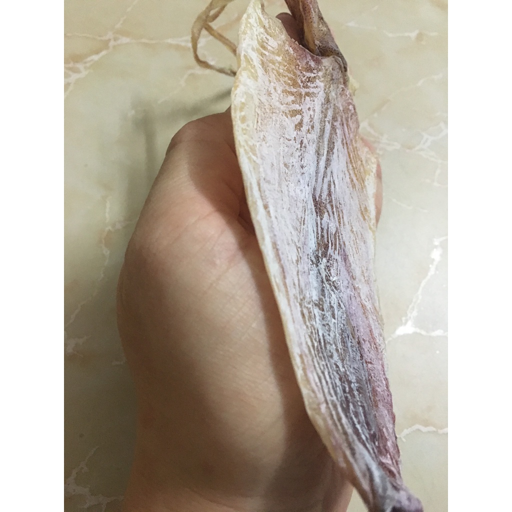 Cực Ngon - 1 Con Mực Khô Câu Vân Đồn, To Bằng Bàn Tay, Y Hình, Khô Mực To Ngon