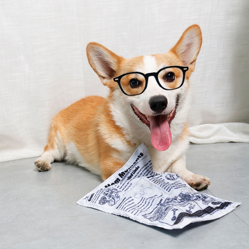 Đồ Chơi Nhai Gặm Tương Tác Hình Tờ Báo Cỡ Nhỏ / Vừa / Nhỏ Độc Đáo
