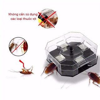 dụng cụ bắt gián