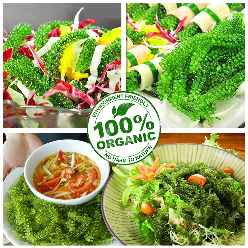 Hộp 100g 5 Gói Rong Nho Tách Nước Tasami Công Nghệ Tách Nước Tiêu Chuẩn Nhật Bản