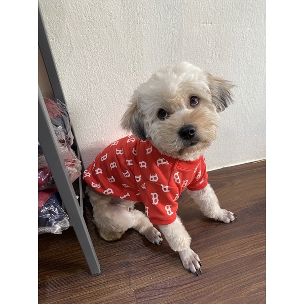 Áo NY cho chó mèo
