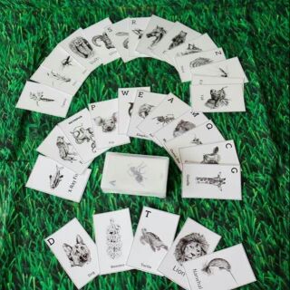 Thẻ Animal 4D- tặng con cả mùa hè bổ ích