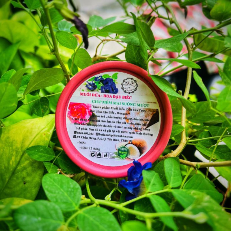 MUỐI DỪA HOA ĐẬU BIẾC TẨY TẾ BÀO CHẾT DA ĐẦU HANDMADE NHÀ BỘT