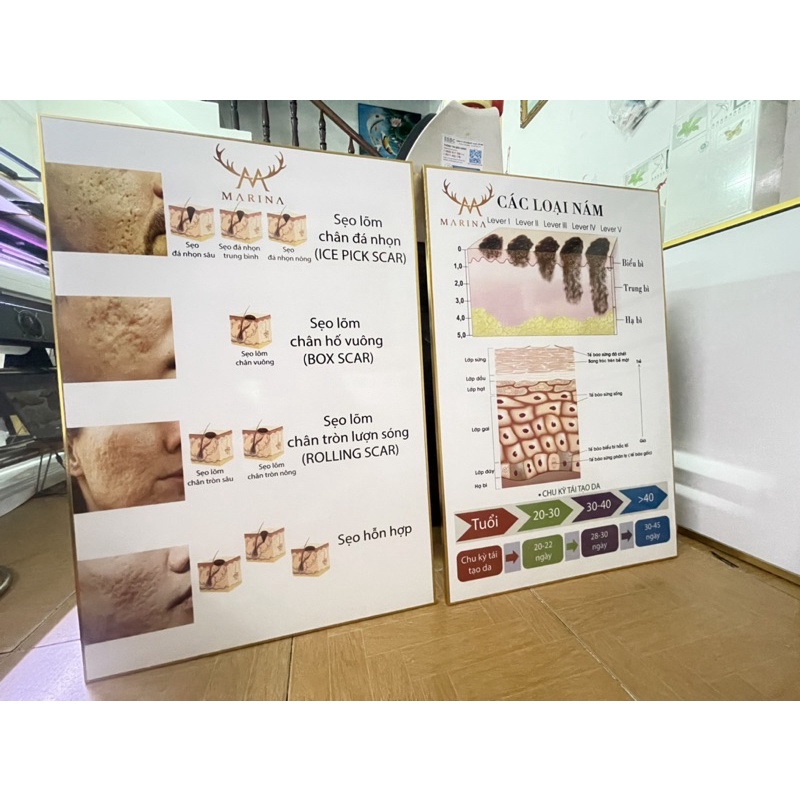 KHUNG TRANH SPA CHĂM SÓC DA SANG TRỌNG HIỆN ĐẠI CHO SPA- THẨM MỸ VIỆN