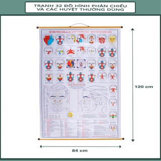 Tranh 32 Hình Phản Chiếu & các huyệt thường dùng – Tất cả trong một (khổ A0)