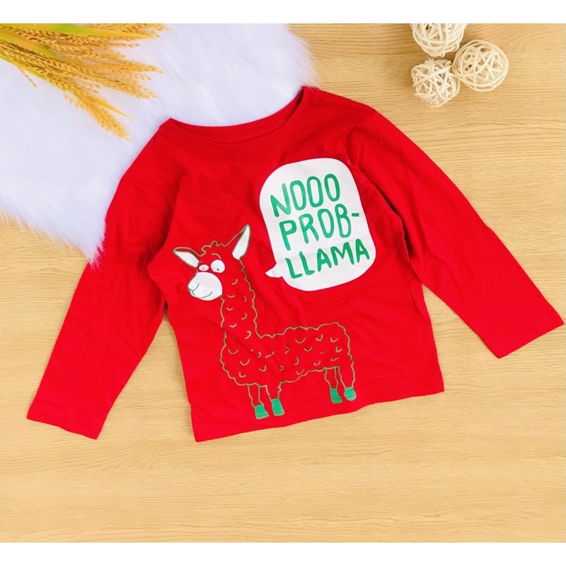 ☄️☄️ Áo thun cotton  xuất dư  dài tay bé trai từ 17-50kg