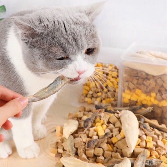 Thịt Hộp Sấy Khô Cho Chó Mèo - Hàng Nội Địa Trung Cao Cấp
