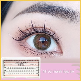 Mi sợi chỉ mảnh