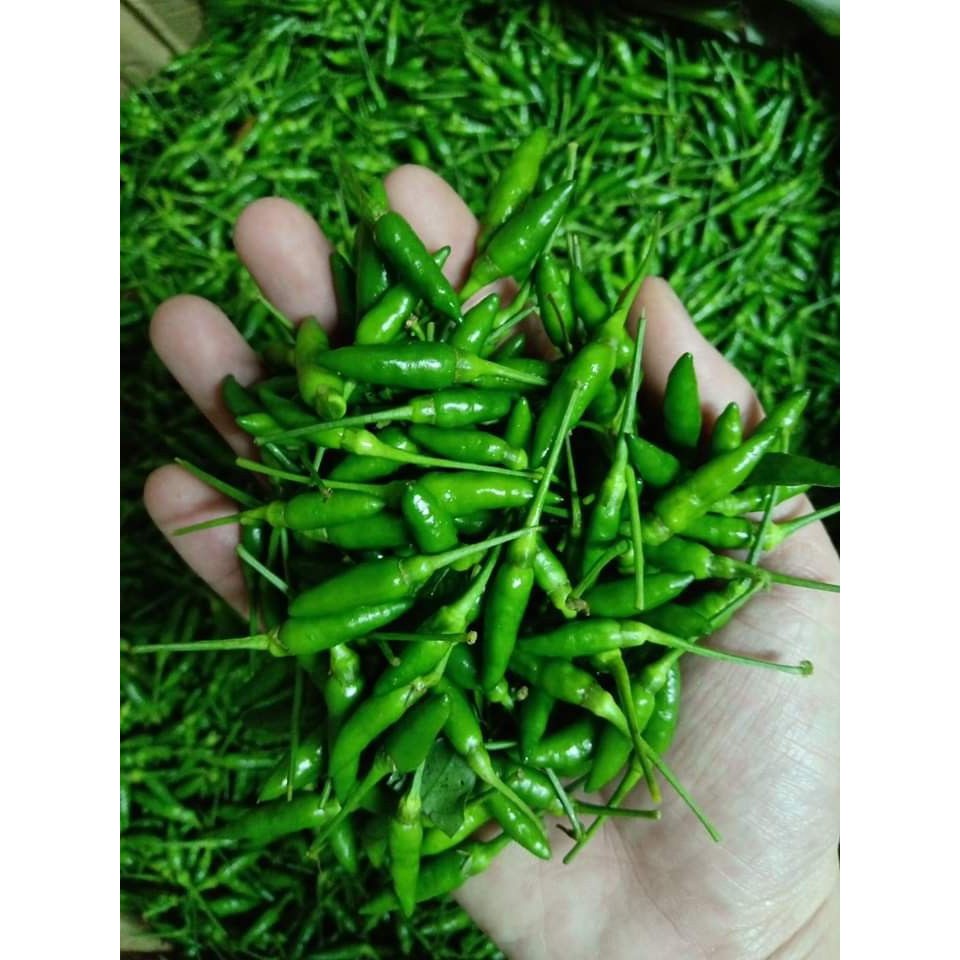 500gr ỚT XIÊM ĐẶC SẢN ĐÀ NẴNG CHÍNH GỐC