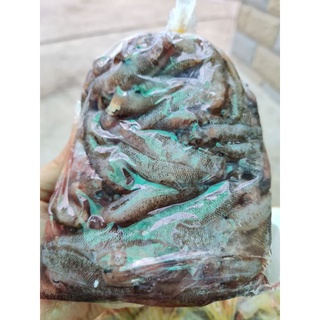Cá bống miền tây - 500g