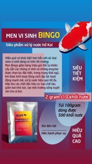 Men vi sinh Bingo