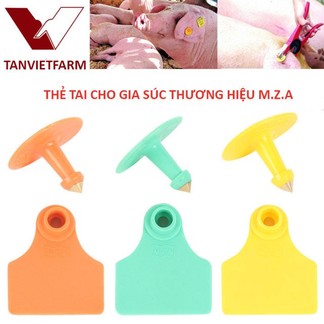 Thẻ đeo tai MZA cho heo chưa in số SET 100