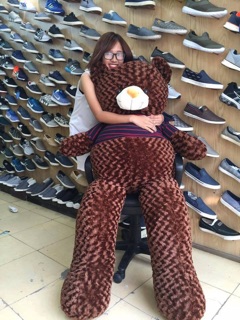 Gấu Teddy Size 1m Nâu 