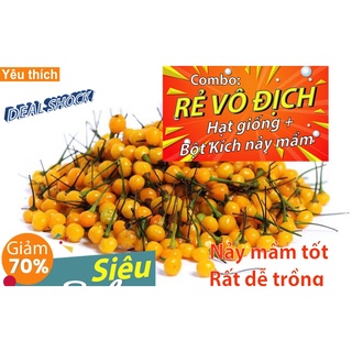 Gói 03 Hạt Giống Ớt Mắc Nhất Thế Giới Aji Charapitat - [Combo rẻ vô địch HẠT GIỐNG + GÓI KÍCH NẢY MẦM]