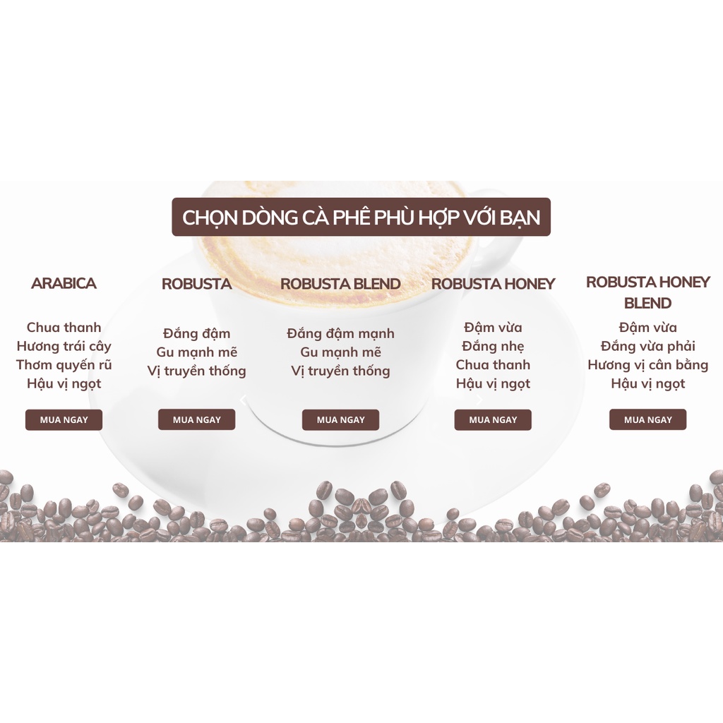 ĐẮNG NHẸ, CHUA THANH THƠM TRÁI CÂY - Cà Phê Arabica Cao Cấp Pha phin 100% nguyên chất, Ngon, Rang xay mộc từ AMOR COFFEE