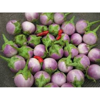0.5gr Hạt giống cà pháo tím