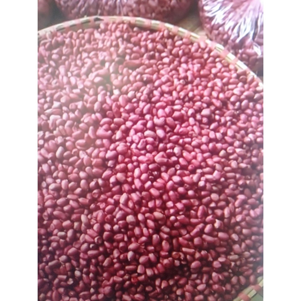 LẠC ĐỎ BẮC 1kg lạc mói thu hoạch thơm ngon giàu dinh dưỡng
