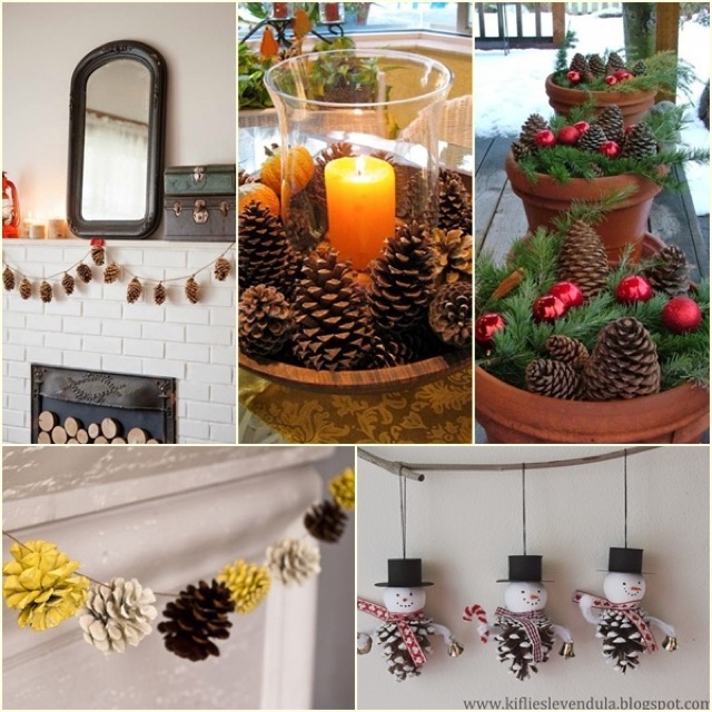 Quả thông khô, trái thông trang trí, quả thông decor chụp ảnh size đại hàng đẹp tuyển chọn