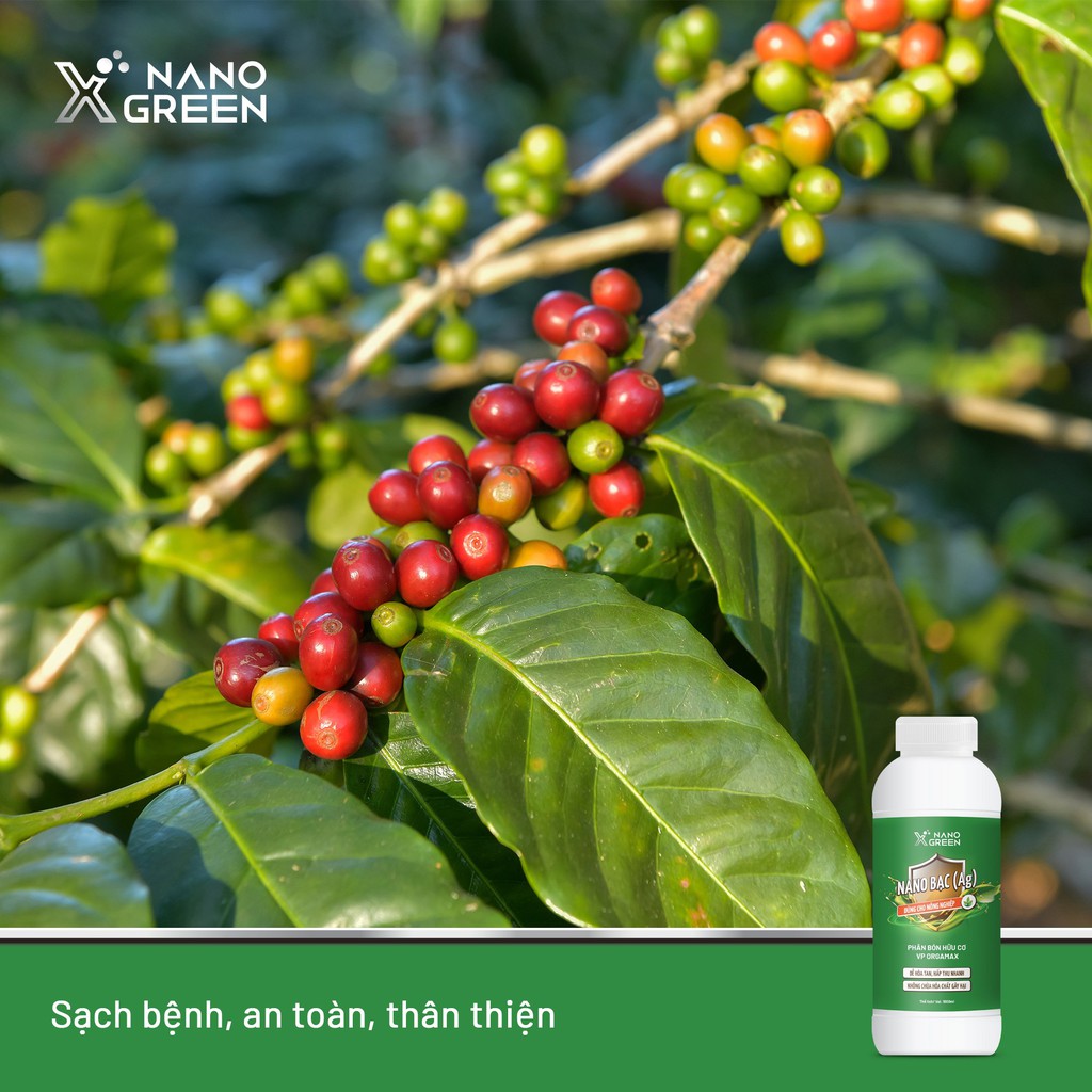 Nano bạc Nano Xgreen cung cấp dưỡng chất, tăng đề khoáng, hỗ trợ cho cây có triệu chứng vàng lá, thối rễ 1000ml