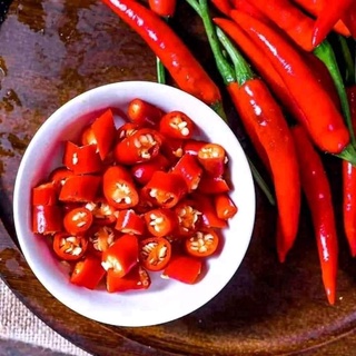 HẠT GIỐNG ỚT CHỈ THIÊN SIÊU QUẢ
