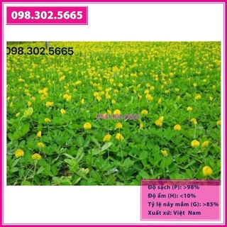 Hạt cỏ thảm lạc dại - gói 100g