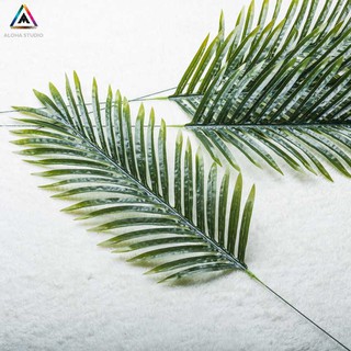 Cành lá dừa xé đạo cụ chụp ảnh độc đáo, chụp ảnh sản phẩm, thời trang, giầy dép, phụ kiện