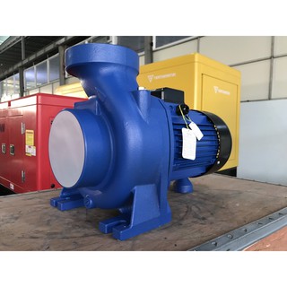 Máy bơm ly tâm lưu lượng Lepono ACm 220B3 - 2.2KW