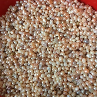 100g Hạt ngọc trai ( dùng xay nghiền bột)